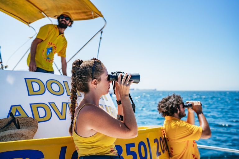 Gibraltar: Dolphin Watching Tour Standard Option