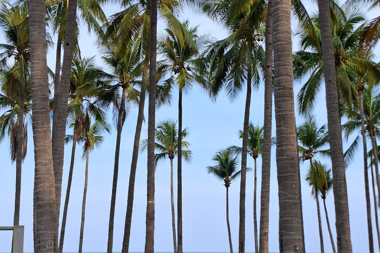 La Libertad Beaches Tour with MealsPicnic Incluided