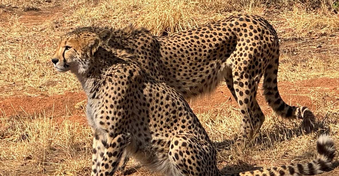 メディア コラージュ