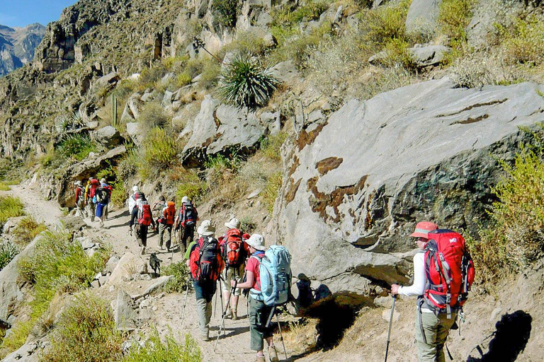 Trekking dans le canyon de Colca 2 jours