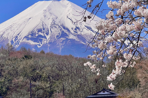 One-day private tour to Mt. Fuji (English speaking driver)