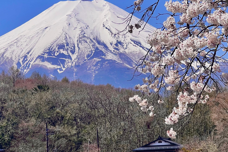 One-day private tour to Mt. Fuji (English speaking driver)