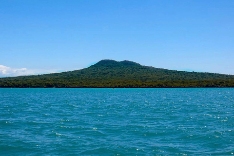 Auckland Harbour Highlights Cruise with Live Commentary