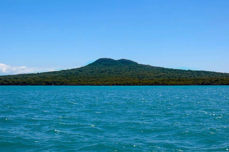 Auckland Harbour Highlights Cruise with Live Commentary