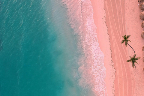 Komodo Island: Cruise Ship Tender to Pink Beach Snorkeling