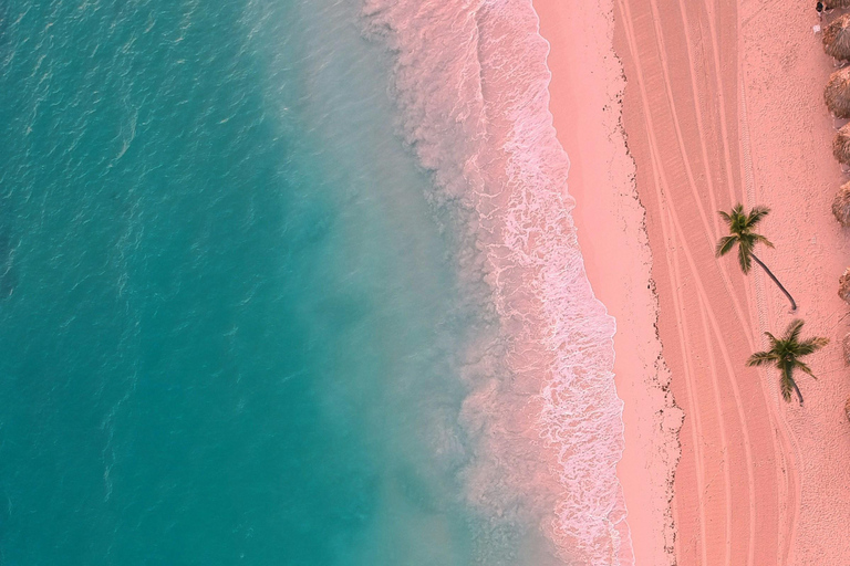 Komodo Island: Cruise Ship Tender to Pink Beach Snorkeling