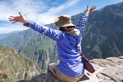 Arequipa: Excursion to the Colca Canyon ending in Puno.