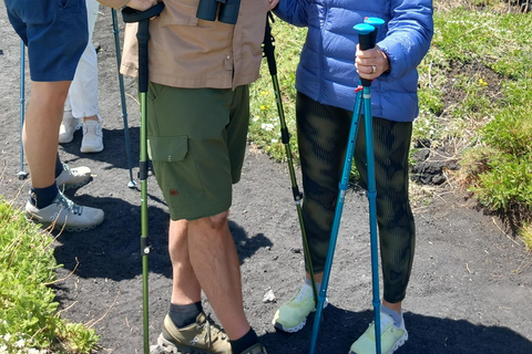 Etna dagsutflykt från Siracusa. Vandring, vin och mat ingår