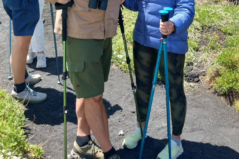 Etna dagsutflykt från Siracusa. Vandring, vin och mat ingår