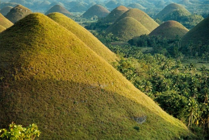 Von Cebu aus: Ganztägiger Bohol-Ausflug