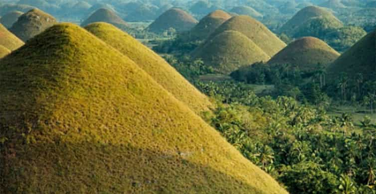 Chocolate Hills in Central Visayas - Tours and Activities