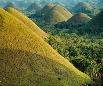From Cebu: Full-Day Bohol Excursion