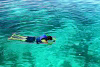 Cebú isla saltando con el almuerzo - Housity