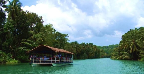 From Bohol & Panglao Island: Full-Day Bohol Tour