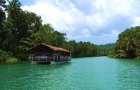 From Bohol & Panglao Island, Full-Day Bohol Tour - Housity