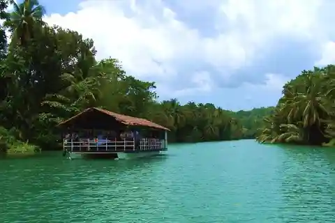 Depuis Bohol et l'île de Panglao : Visite d'une jounée à Bohol