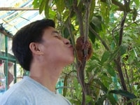 Van Bohol & Panglao Island, Full-Day Bool Tour - Housity