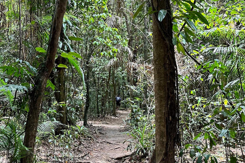 Foresta pluviale di Daintree: Crociera sul fiume e passeggiata nella foresta pluviale