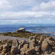 From Hobart: Mt Wellington Morning Walking Tour