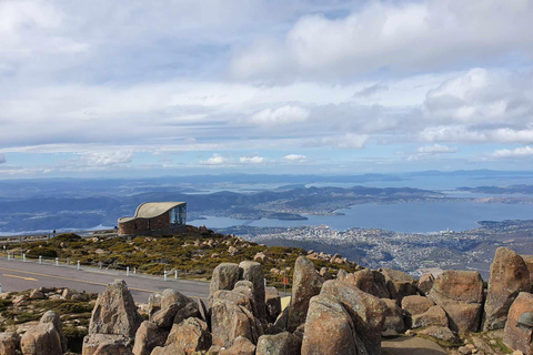 Desde Hobart Tour en grupo reducido de 2 horas al Pináculo del Monte Wellington