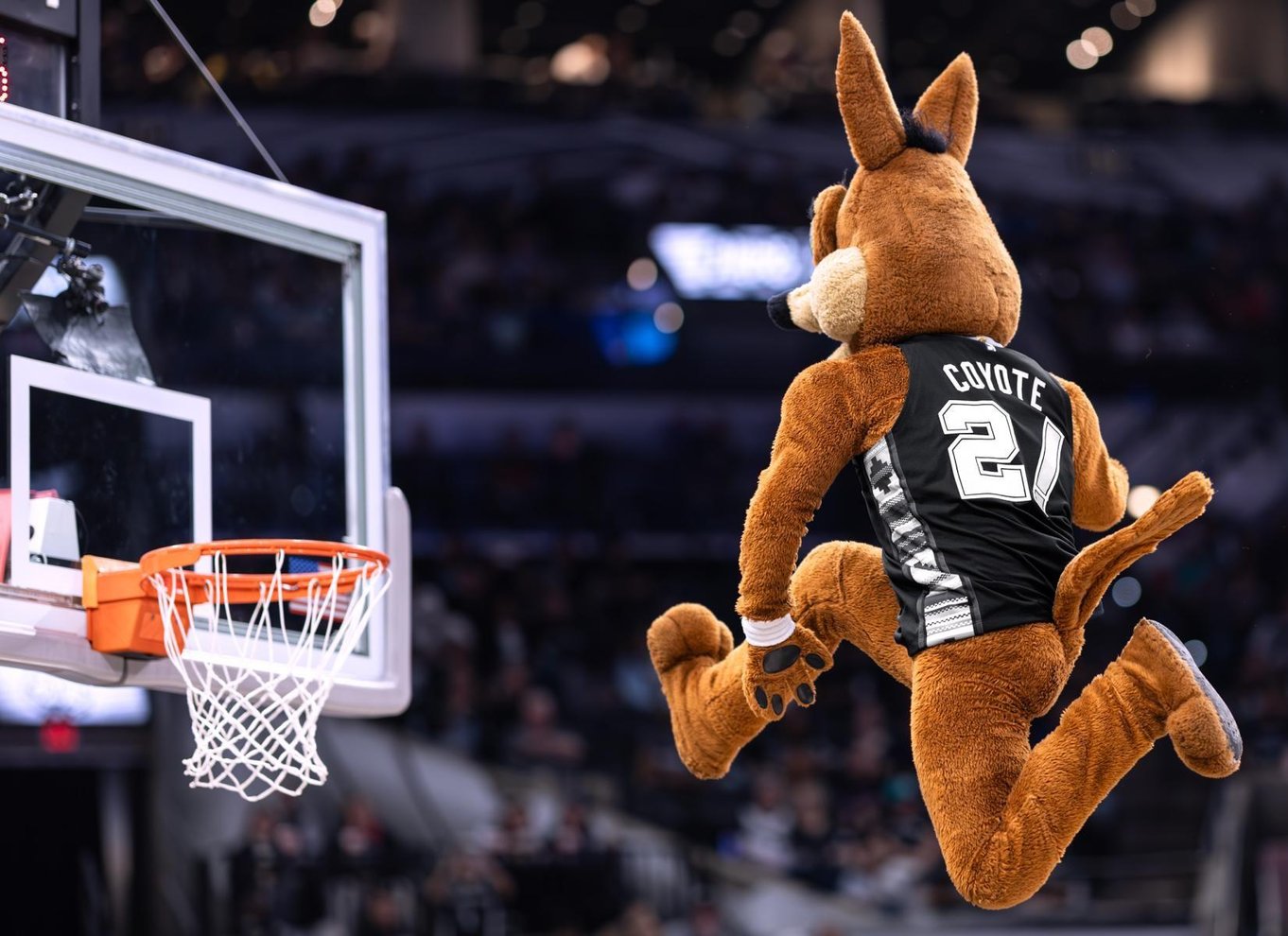 San Antonio: Billet til San Antonio Spurs NBA-basketballkamp