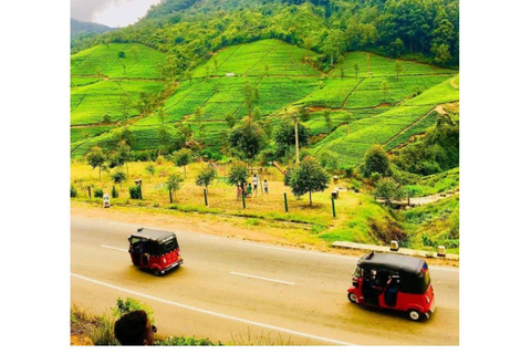 De Kandy a Nuwaraeliya en Tuk Tuk local