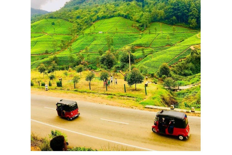 De Kandy a Nuwaraeliya en Tuk Tuk local