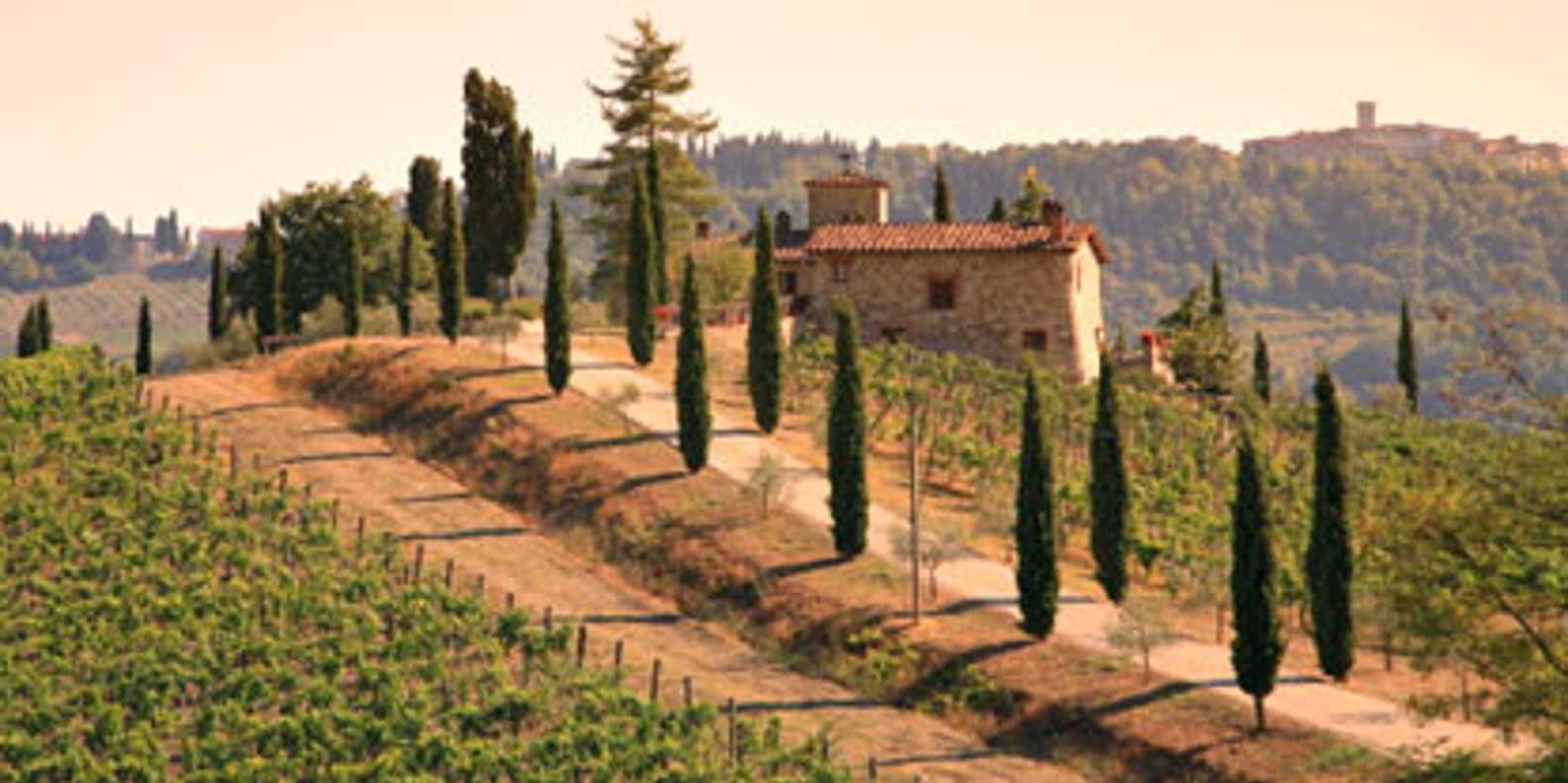 From Florence: Private Wine Tour with Dinner on an Estate