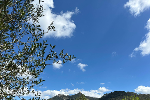 Hiking tour with a dream view of the former monastery of Sant Salvador, 3-4 hours. Hiking tour with fantastic views to the former Sant Salvador monastery 3-4 hrs.