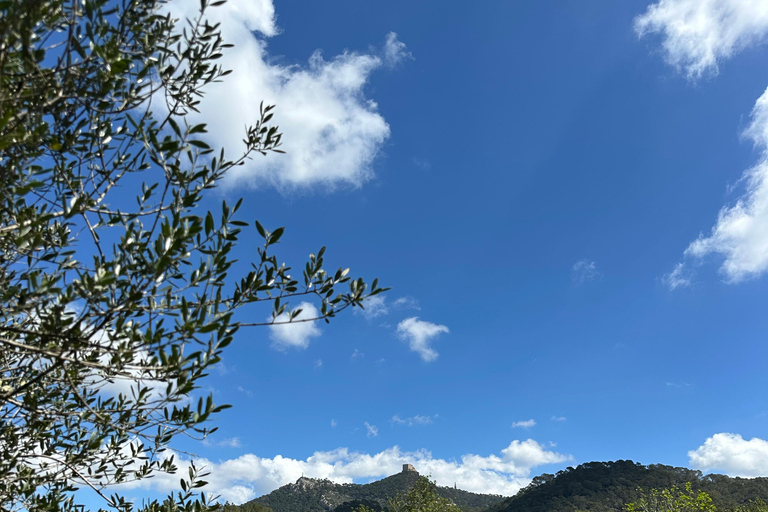 Hiking tour with a dream view of the former monastery of Sant Salvador, 3-4 hours. Hiking tour with fantastic views to the former Sant Salvador monastery 3-4 hrs.