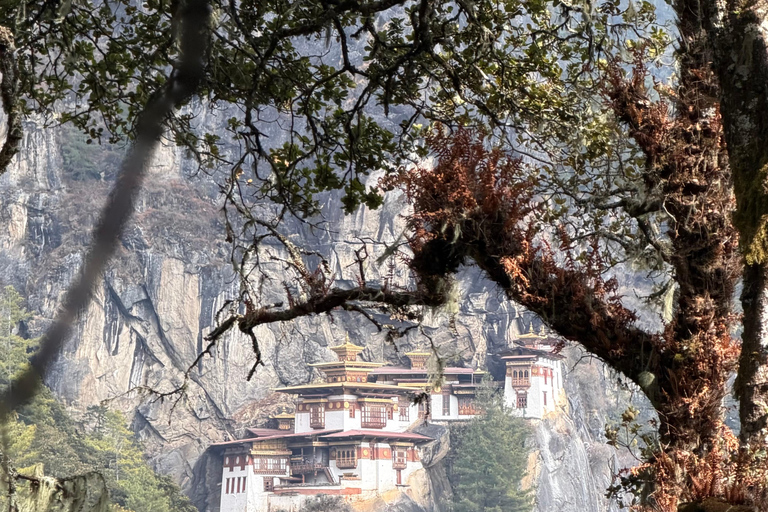 Bhutan: 4-Day Guided Tour with Tiger's Nest Hike & Meals