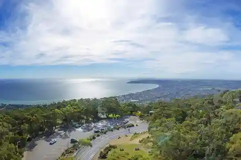 Melbourne: Peninsula Sightseeing Driving Day Tour