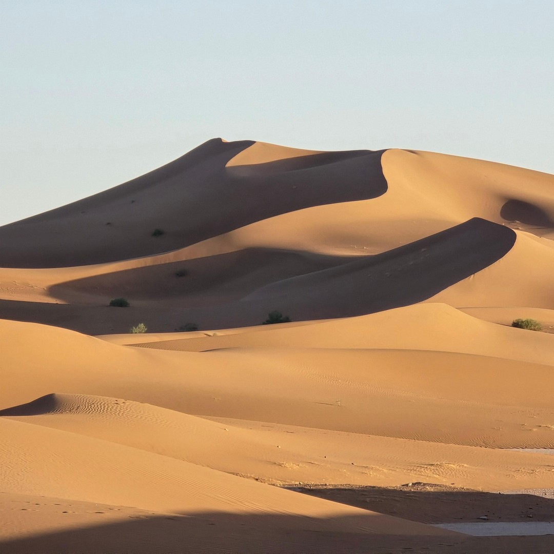 Aventure de 2 jours dans le désert du Sahara, de M'Hamid à Erg Chigaga