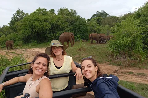 De Dambulla/Sigiriya/ : Parc national de Minneriya - 4 heures de safari
