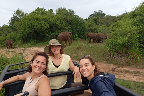 Da Dambulla/Sigiriya/: Safari di 4 ore nel Parco Nazionale di Minneriya