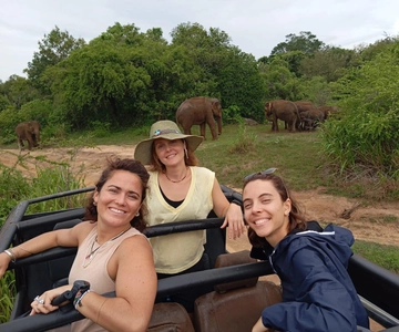 Da Dambulla/Sigiriya/: Safari di 4 ore nel Parco Nazionale di Minneriya