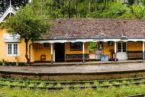 Traslado de TukTuk da Estação Ferroviária de Demodara para o Ella Hotel