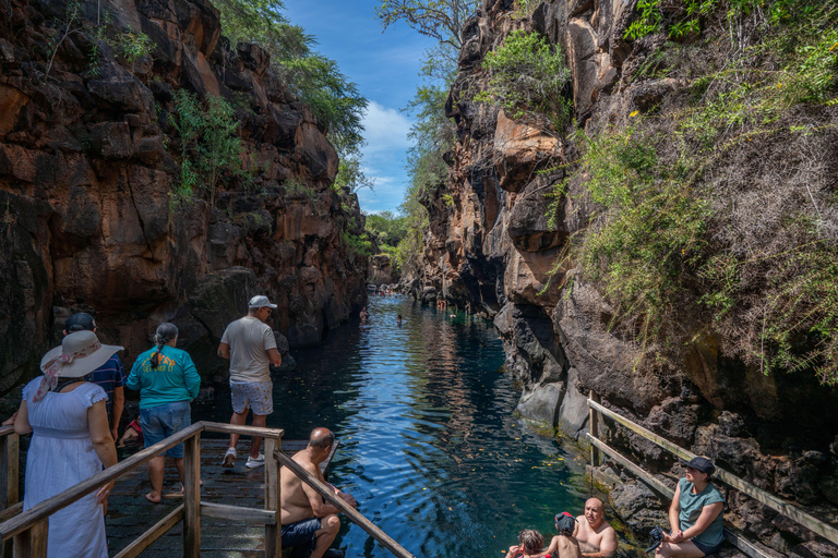 Santa Cruz: Snorkeling Sightseeing Tour at Las Grietas and Playa de los Alemanes