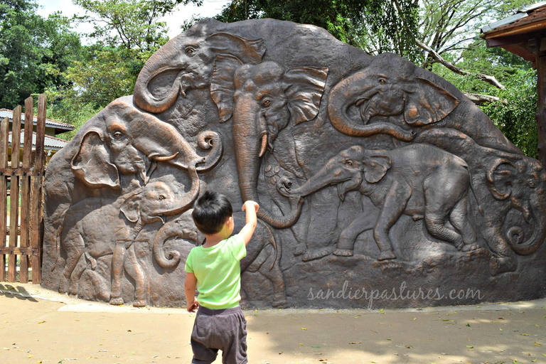 Colombo nach Kandy Transfer mit Pinnawala Elefantenwaisenhaus