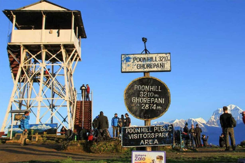 Pokhara: 3-Day Poon Hill Sunrise Trek with Lady Guide