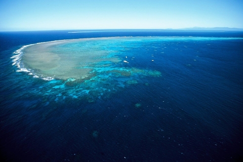 Cairns: Outer Great Barrier Reef-dagtour met lunch