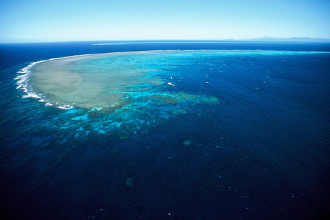 Cairns: Outer Great Barrier Reef - Tagestour & Mittagessen