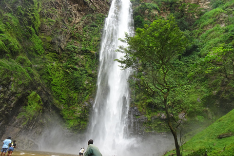 Excursion d&#039;une journée à la découverte de chutes d&#039;eau pittoresques