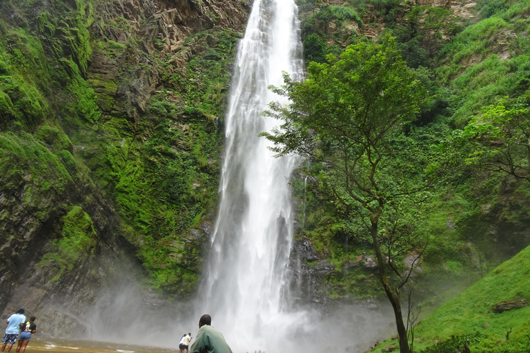 Excursion d&#039;une journée à la découverte de chutes d&#039;eau pittoresques