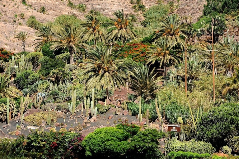 Oasis Wildlife Fuerteventura y paseo en camello opcionalSolo ticket