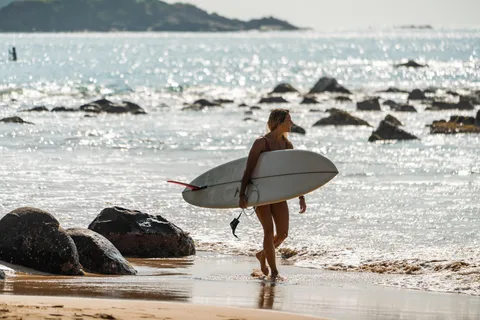 Circuit de 6 jours au Sri Lanka Séjour à la plage, faune, histoire, culture