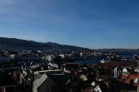 Bergen: Urban Mountain Hiking and History Tour