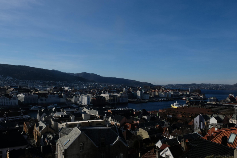 Bergen: Urban Mountain Hiking and History Tour