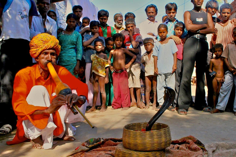 Private Jaipur Village Jeep Tour Guided jaipur village jeep safari