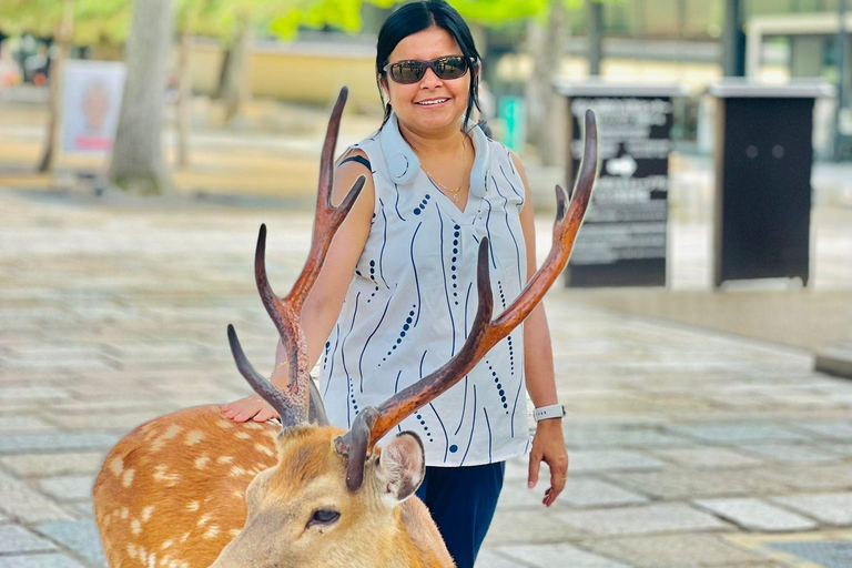 Osaka/Kyoto/Nara: Privat skräddarsydd rundtur på engelskaOsaka/Kyoto/Nara: Privat anpassad rundtur på engelska